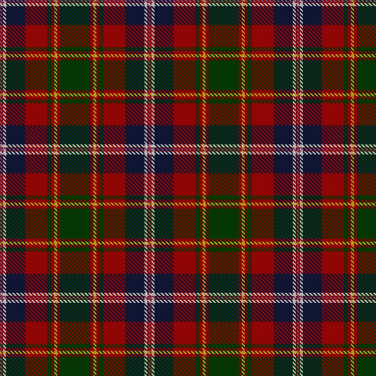 Tartan image: 24th World Scout Jamboree. Click on this image to see a more detailed version.