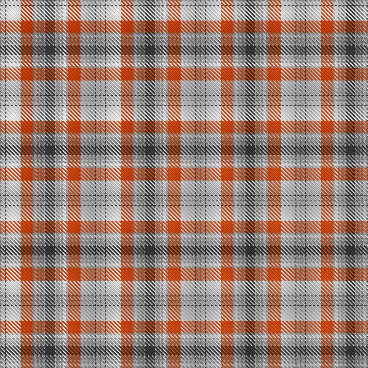 Tartan image: Goose Watch (Anser albifrons flavirostris). Click on this image to see a more detailed version.