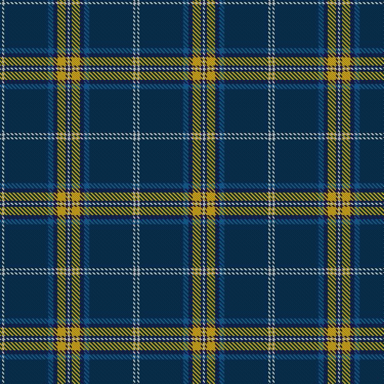 Tartan image: Fife Flyers. Click on this image to see a more detailed version.
