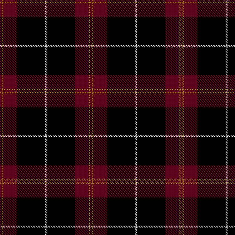 Tartan image: Hall, W A B (Personal). Click on this image to see a more detailed version.
