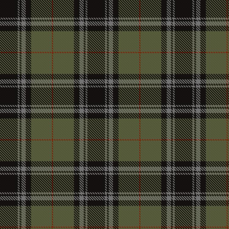 Tartan image: Hitmillgreen. Click on this image to see a more detailed version.