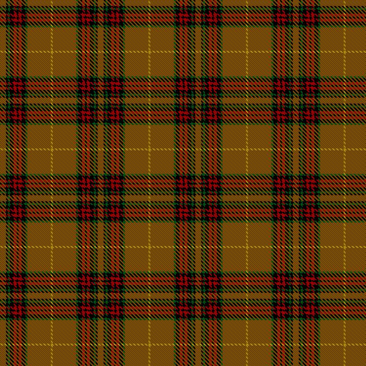 Tartan image: Finnegan. Click on this image to see a more detailed version.