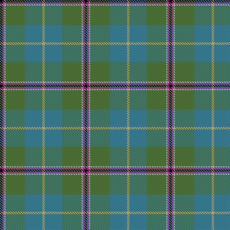 Tartan image: So Stobo. Click on this image to see a more detailed version.