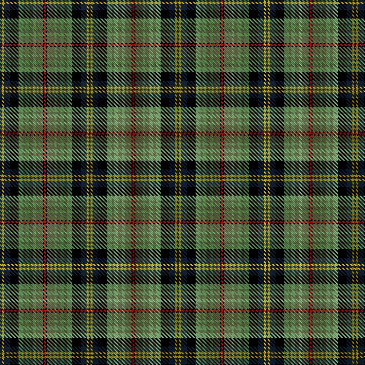Tartan image: Heineken. Click on this image to see a more detailed version.