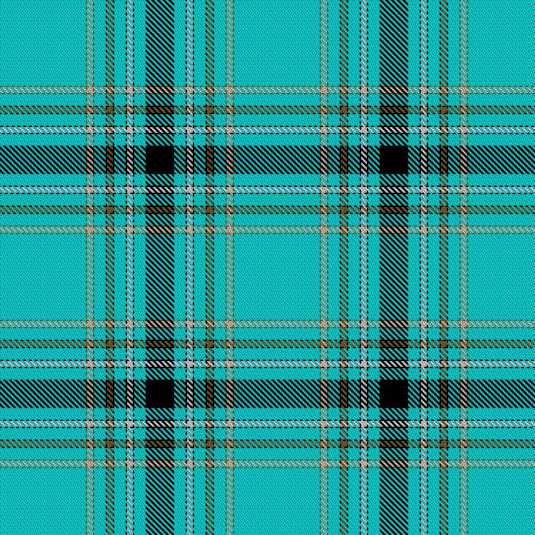Tartan image: Lagoon. Click on this image to see a more detailed version.