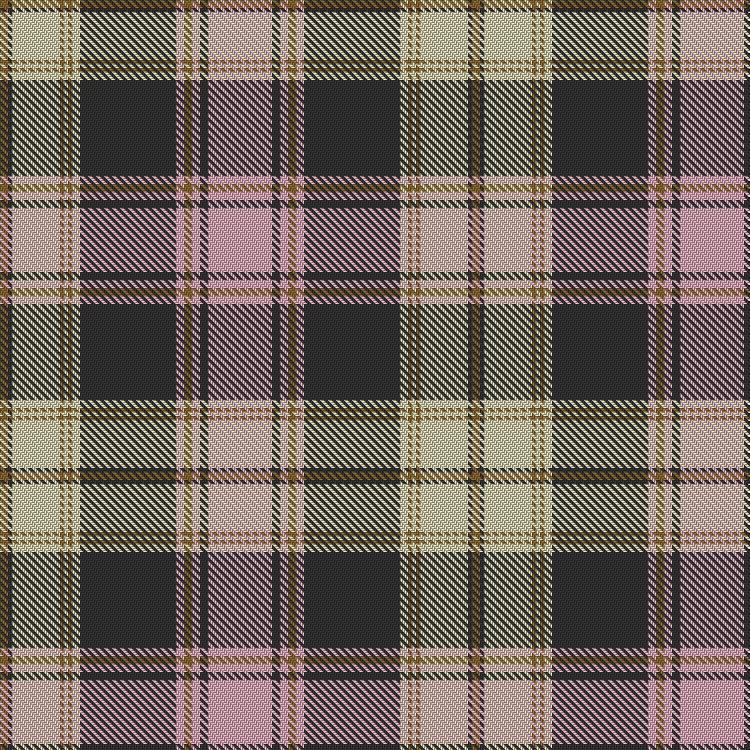 Tartan image: Fiona. Click on this image to see a more detailed version.