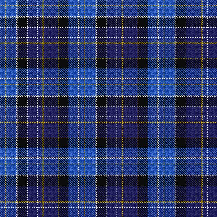 Tartan image: Shirley (2017). Click on this image to see a more detailed version.