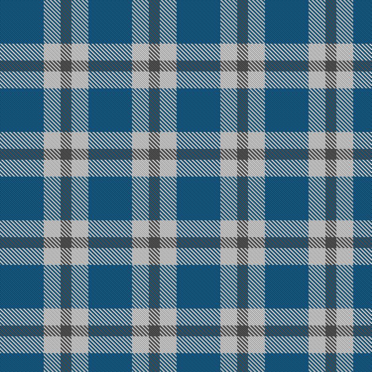 Tartan image: AMHT. Click on this image to see a more detailed version.