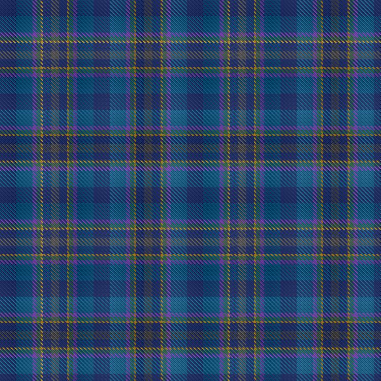 Tartan image: Svedin, Martin (Personal). Click on this image to see a more detailed version.