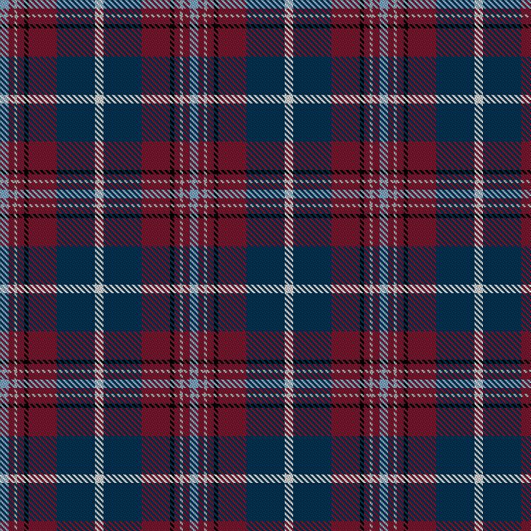 Tartan image: RAF 100. Click on this image to see a more detailed version.