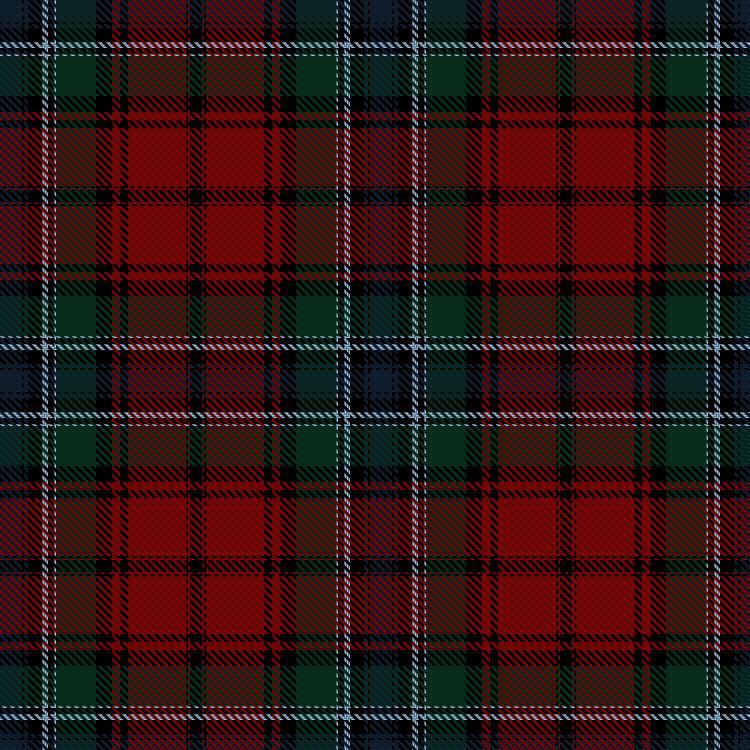Tartan image: Littlejohn (2017). Click on this image to see a more detailed version.