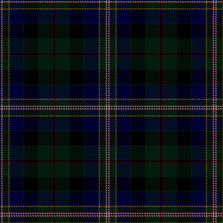 Tartan image: Willien, David, Baron of Tulloch (Personal). Click on this image to see a more detailed version.