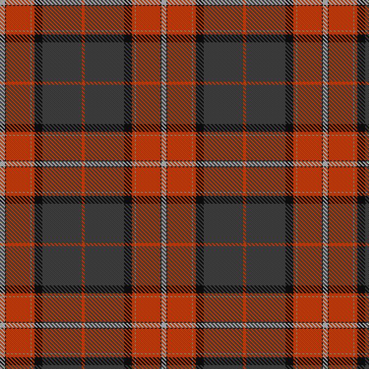 Tartan image: David Philp Commercials. Click on this image to see a more detailed version.