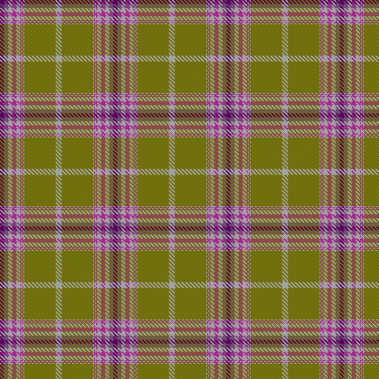 Tartan image: Overgate. Click on this image to see a more detailed version.