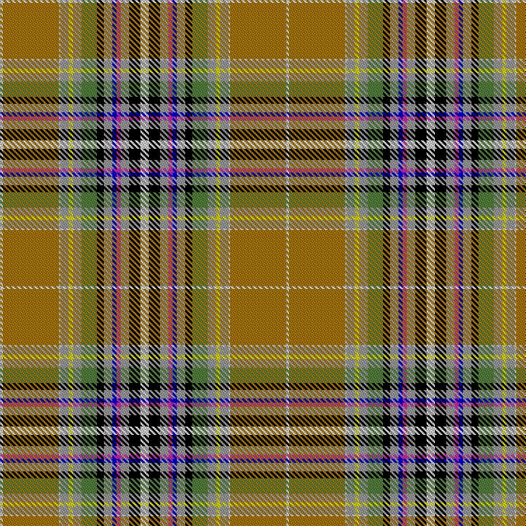 Tartan image: Arctic Tundra. Click on this image to see a more detailed version.
