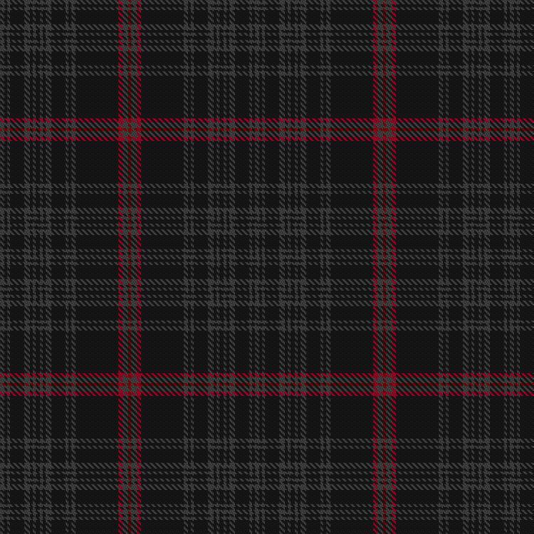 Tartan image: Résilience Enfance. Click on this image to see a more detailed version.