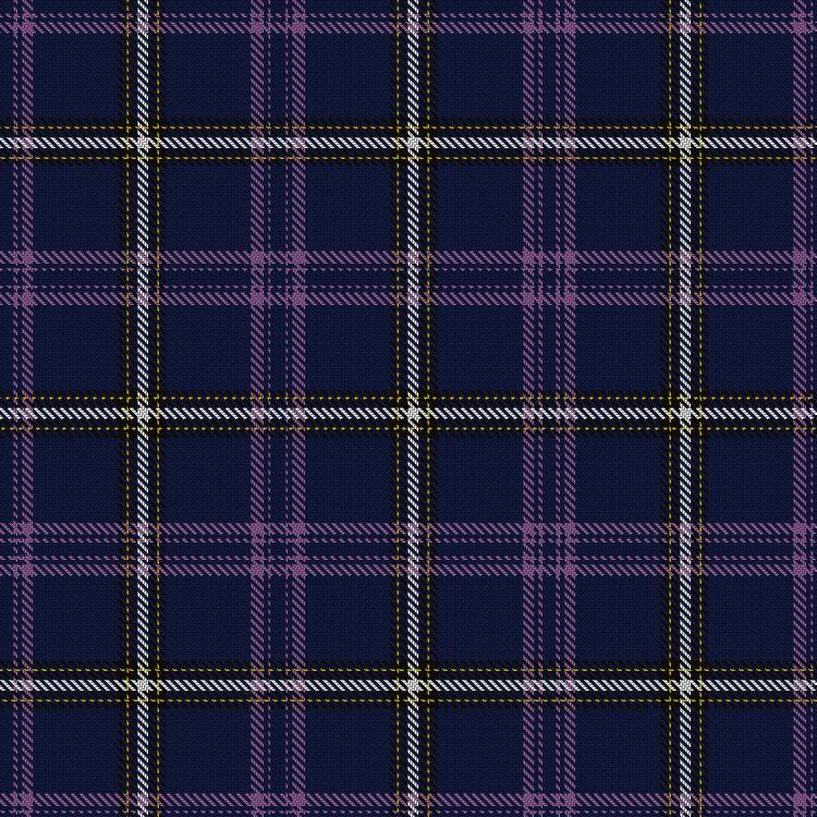 Tartan image: Private Concierge Scotland, The. Click on this image to see a more detailed version.