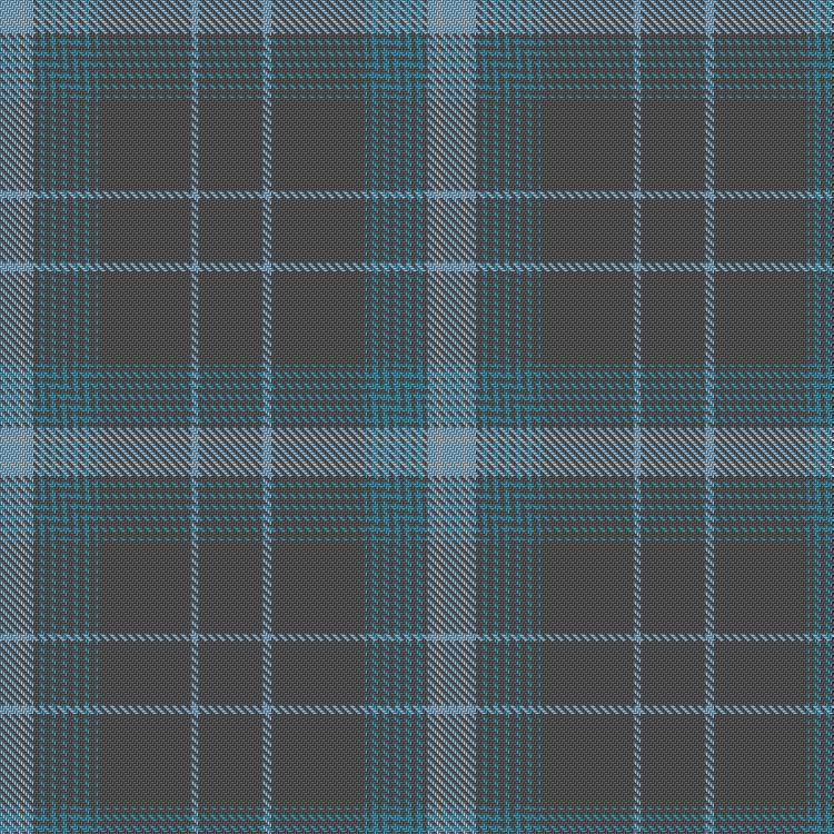 Tartan image: Essence of Harris. Click on this image to see a more detailed version.