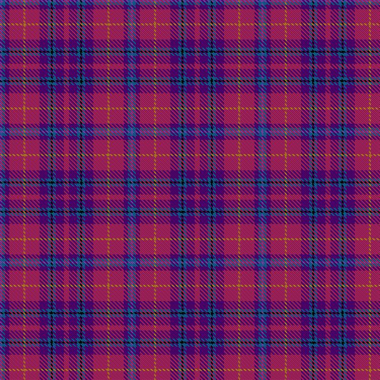 Tartan image: Ward, Craig, Baron of Lundie (Personal). Click on this image to see a more detailed version.