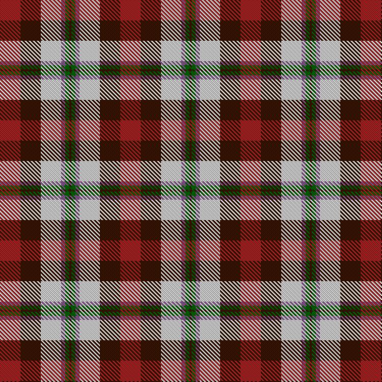 Tartan image: Arnot (2017). Click on this image to see a more detailed version.