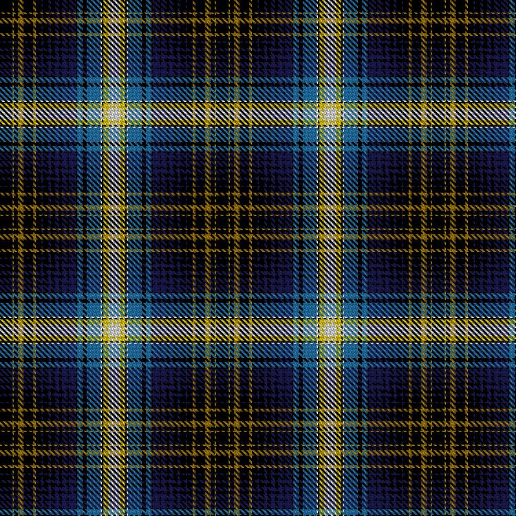 Tartan image: Midnight Sun, The. Click on this image to see a more detailed version.