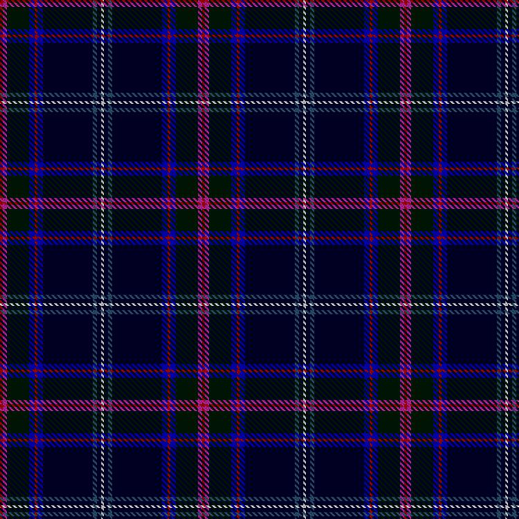 Tartan image: Fitzgerald Hunting. Click on this image to see a more detailed version.