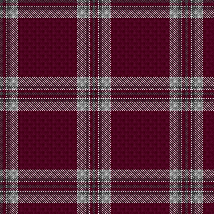 Tartan image: Tynecastle Park. Click on this image to see a more detailed version.