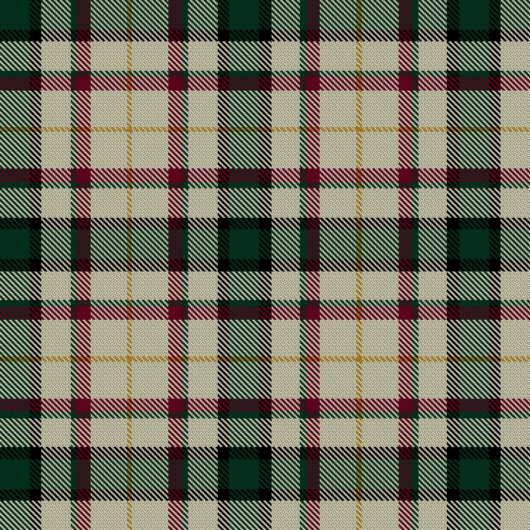 Tartan image: Bean of Freeport Dress. Click on this image to see a more detailed version.