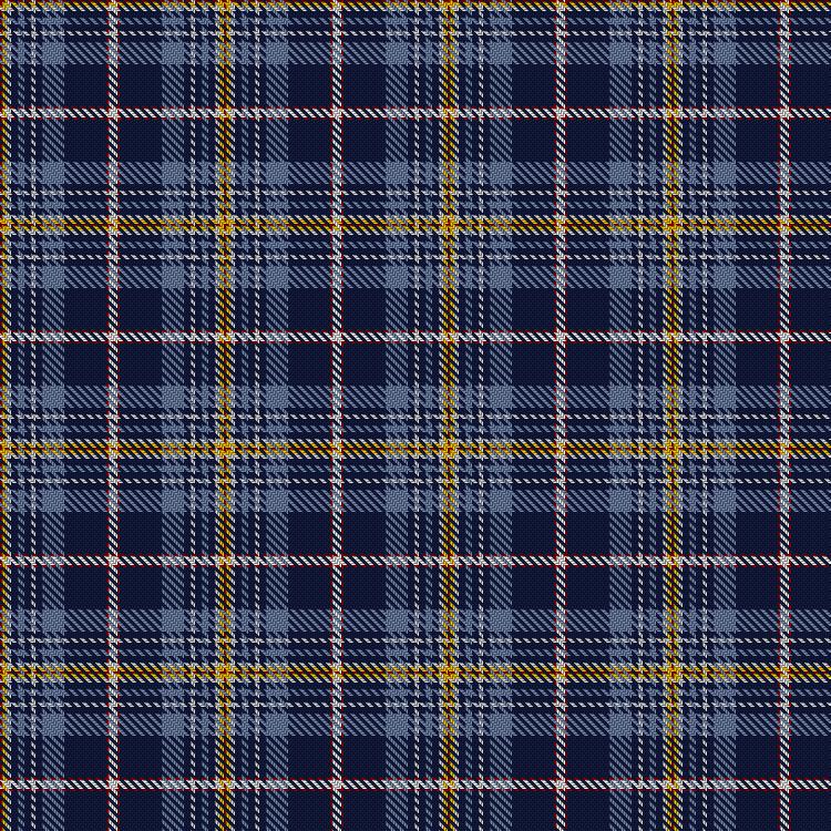 Tartan image: Patrick (2017). Click on this image to see a more detailed version.