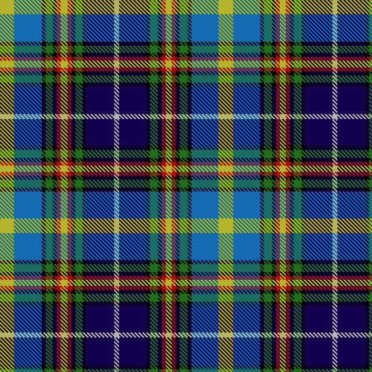 Tartan image: Flores, Martin E (Personal). Click on this image to see a more detailed version.