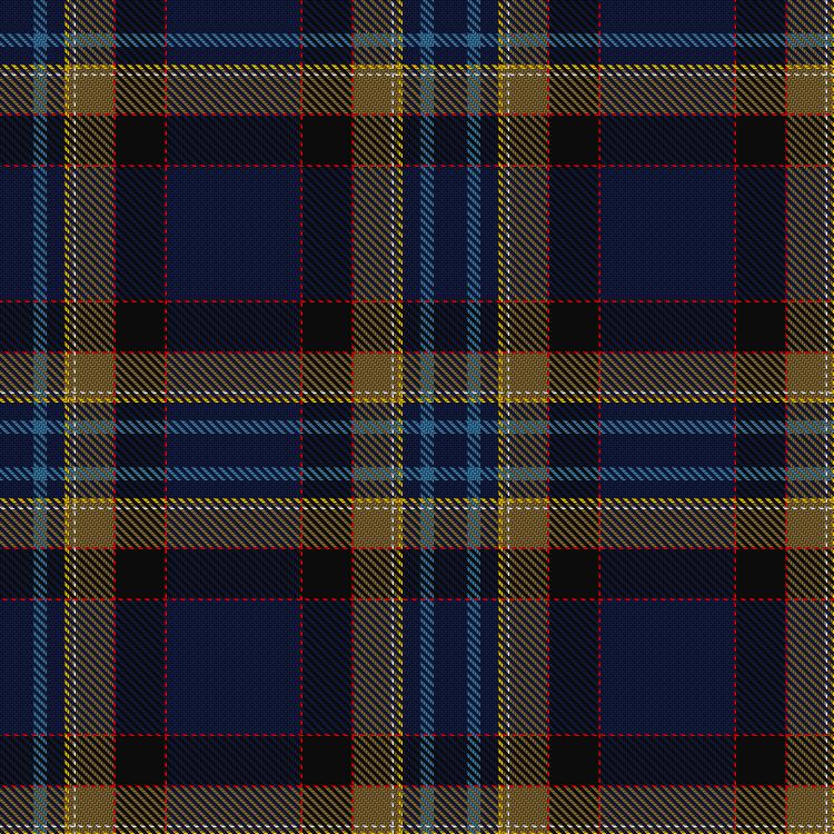 Tartan image: Pannell, baron of Anstruther (Personal). Click on this image to see a more detailed version.