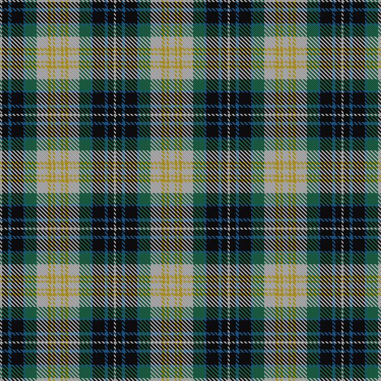 Tartan image: Fitzpatrick. Click on this image to see a more detailed version.