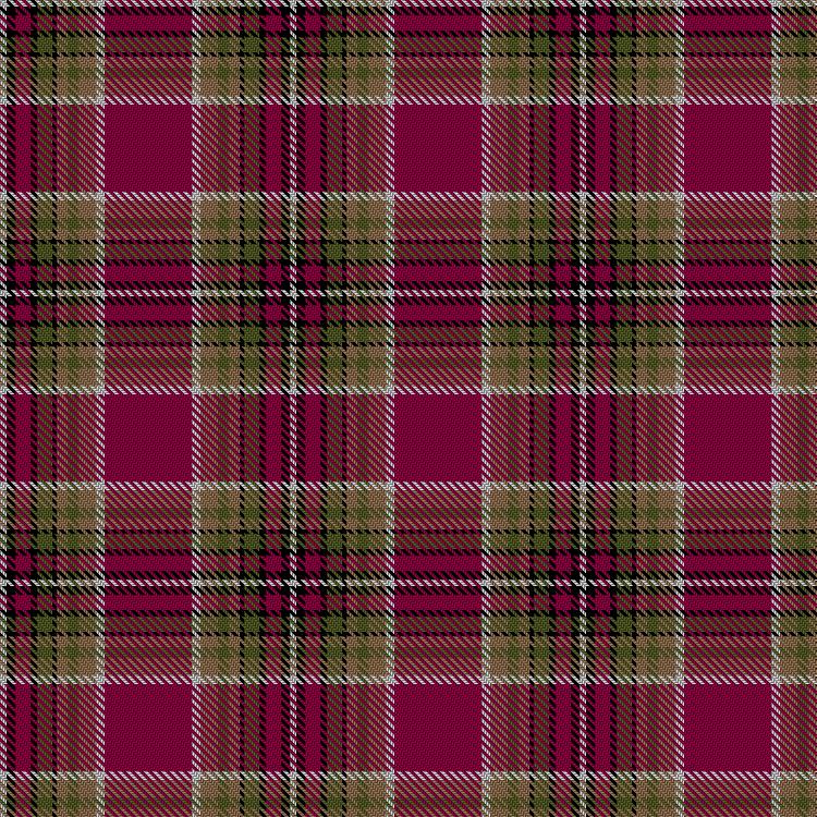 Tartan image: Gardner, Lynne Michele (Personal). Click on this image to see a more detailed version.