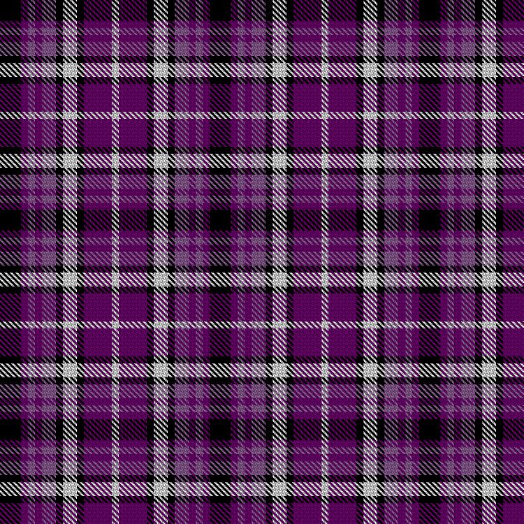 Tartan image: Totté (from Hofstade de Baerebeeck) Dress (Personal). Click on this image to see a more detailed version.