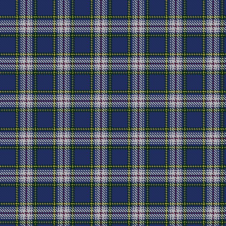 Tartan image: Maver Dress. Click on this image to see a more detailed version.