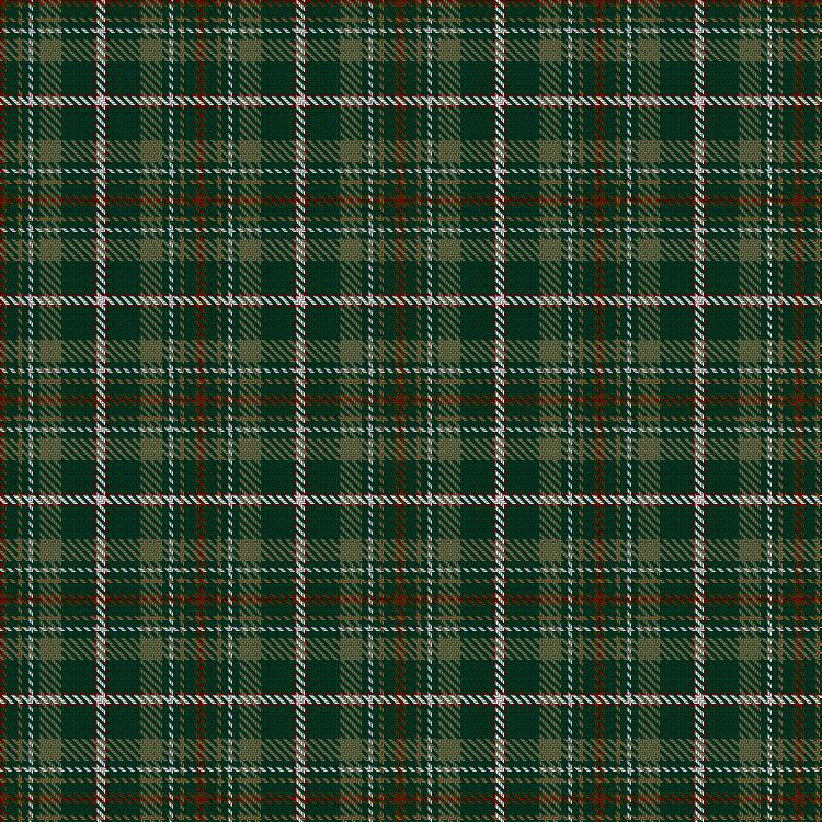 Tartan image: Patrick (2017) Hunting. Click on this image to see a more detailed version.