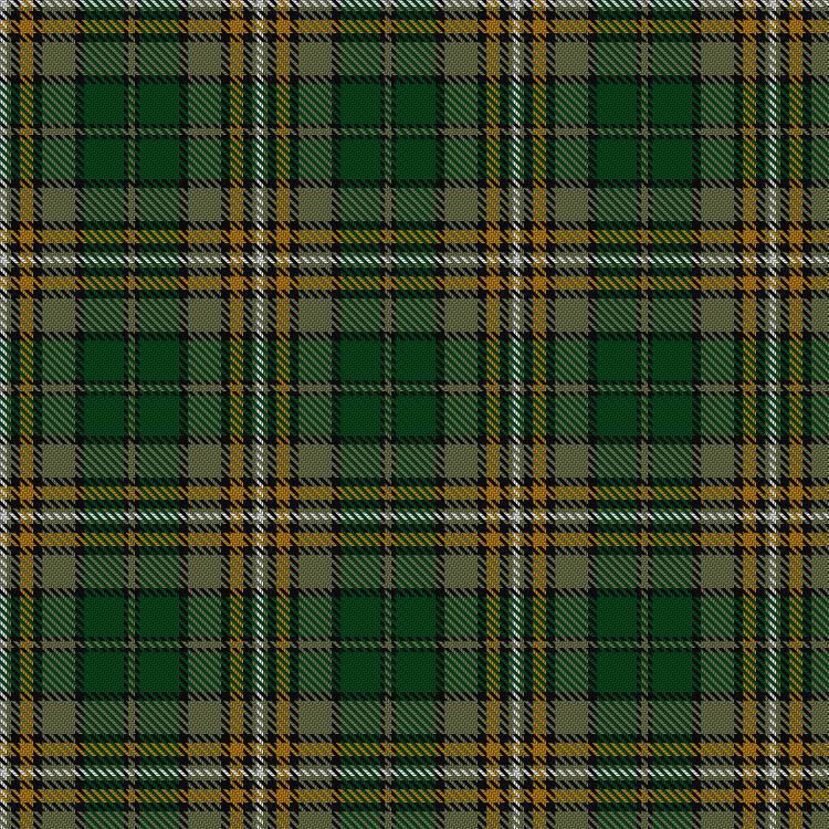 Tartan image: Fitzsimmons. Click on this image to see a more detailed version.