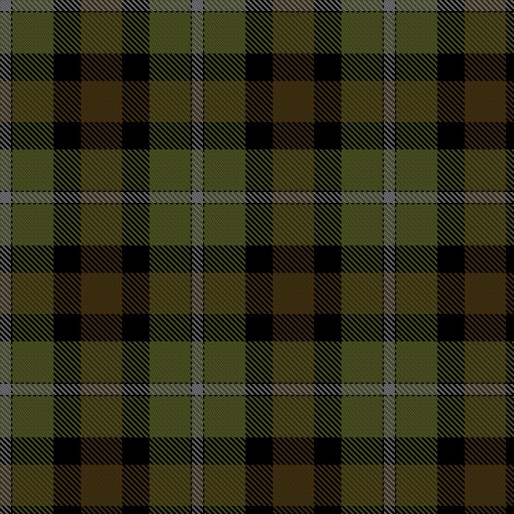 Tartan image: Foster Brother Customs. Click on this image to see a more detailed version.
