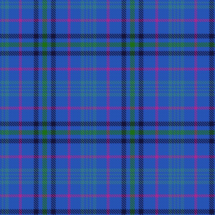 Tartan image: Commonwealth Games Scotland, Team Scotland 2018. Click on this image to see a more detailed version.