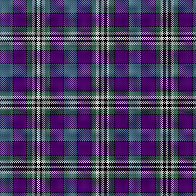 Tartan image: Whiteside, Ann Lynn (Personal). Click on this image to see a more detailed version.