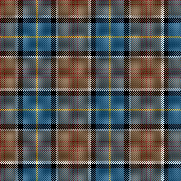 Tartan image: Flint (2018). Click on this image to see a more detailed version.