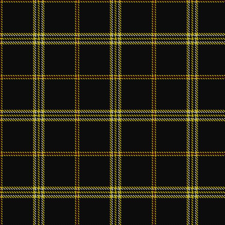 Tartan image: Nayrand (2018). Click on this image to see a more detailed version.