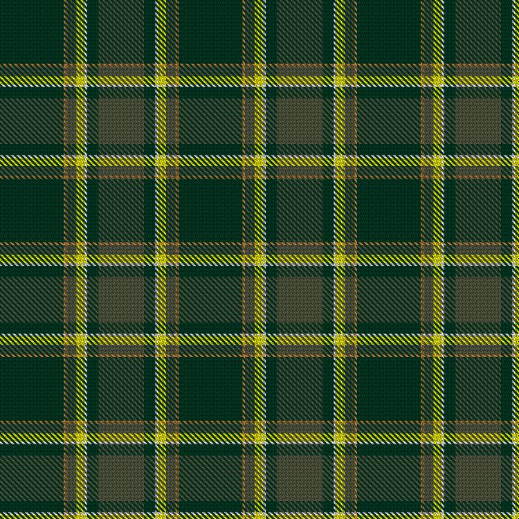 Tartan image: Cheesehearts Green19. Click on this image to see a more detailed version.