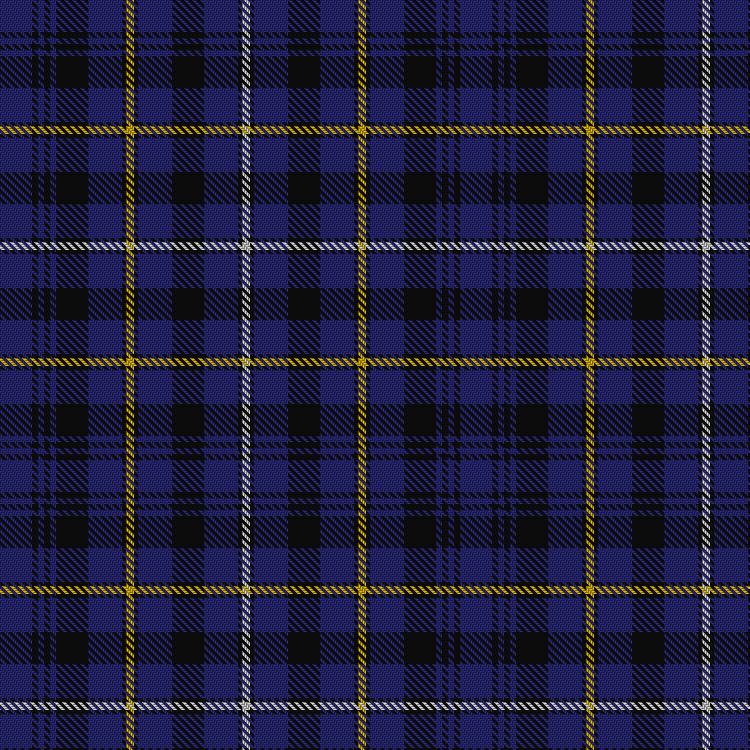 Tartan image: Fleming/Frisken/Flanders. Click on this image to see a more detailed version.