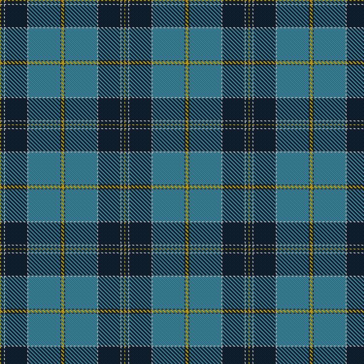 Tartan image: Scottish Deaf History. Click on this image to see a more detailed version.