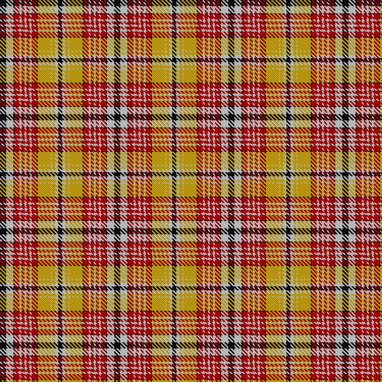 Tartan image: Spirit of Lens. Click on this image to see a more detailed version.