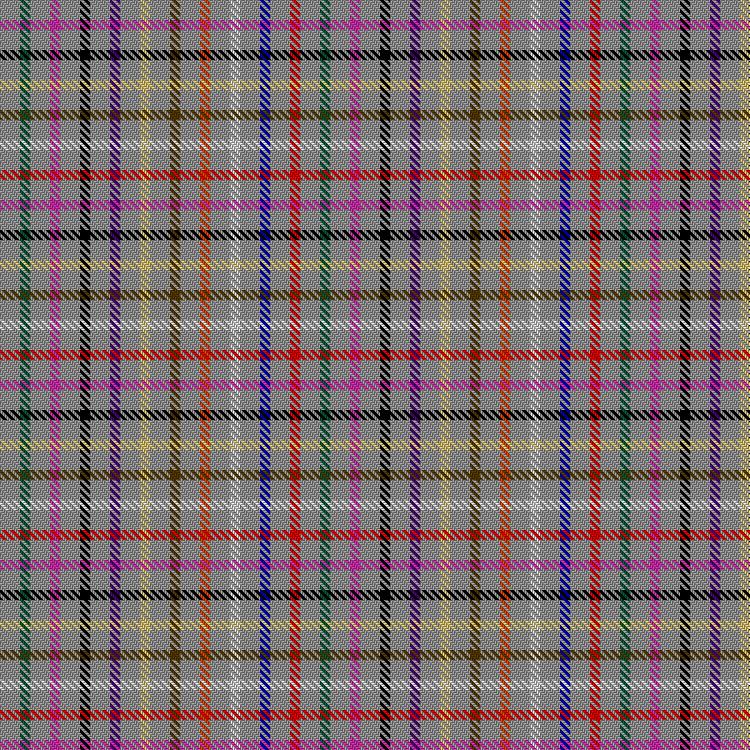 Tartan image: Homeless. Click on this image to see a more detailed version.
