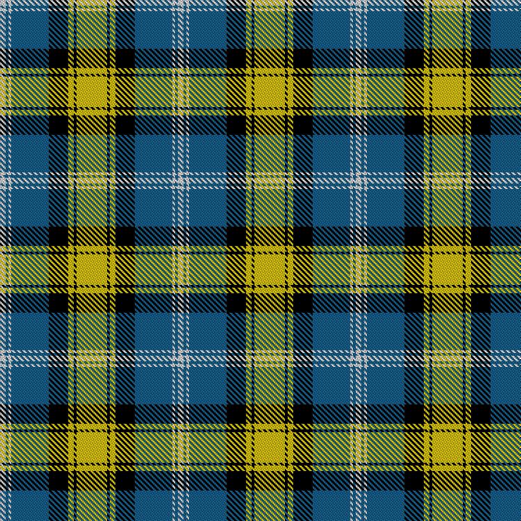 Tartan image: Doddie’5. Click on this image to see a more detailed version.