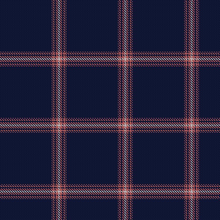 Tartan image: Pride of Paris Rugby. Click on this image to see a more detailed version.