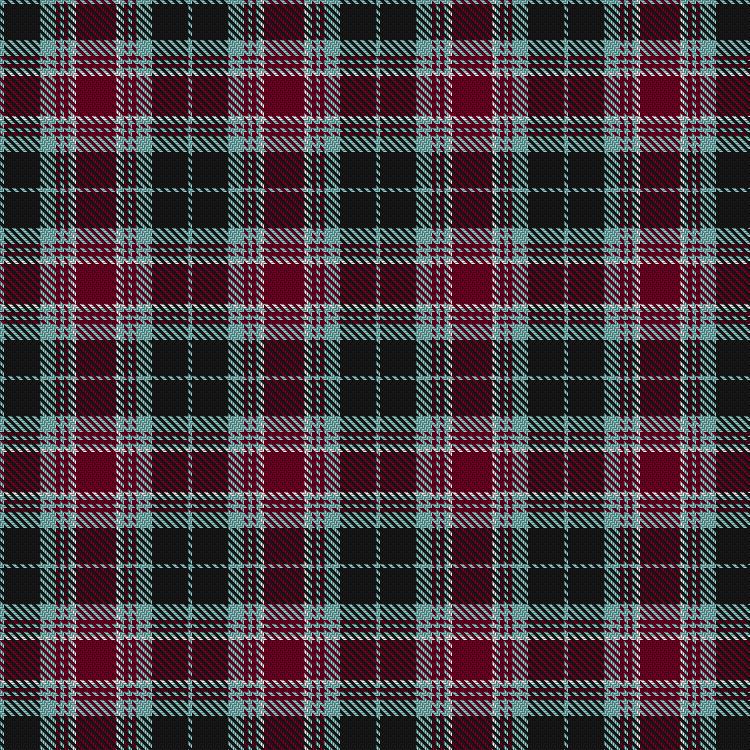 Tartan image: United Pipers for Peace. Click on this image to see a more detailed version.